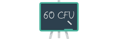 60 cfu insegnamento